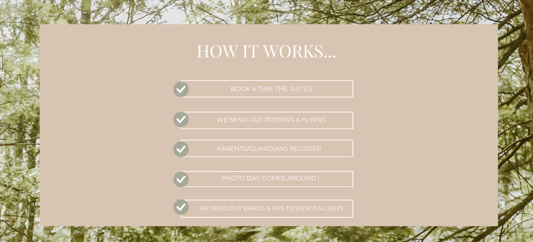 Copy of Sophia Garcia Earth Tone Canva Website Template (1).png